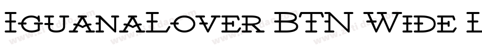 IguanaLover BTN Wide Lt字体转换